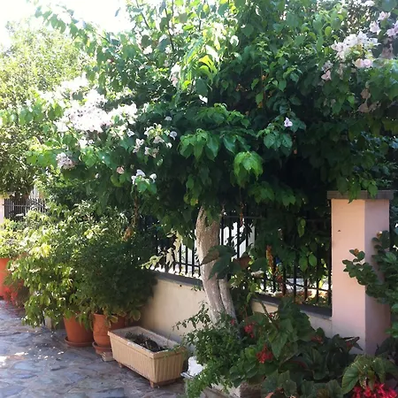 Bianca Apartment